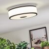 Elran Plafoniera LED Nero, Bianco, 1-Luce