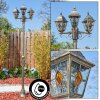 Naofe Lampione multibraccia, Illuminazione viale Marrone, Oro, 3-Luci