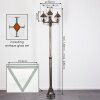 Naofe Lampione multibraccia, Illuminazione viale Marrone, Oro, 3-Luci