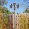 Naofe Lampione multibraccia, Illuminazione viale Marrone, Oro, 3-Luci