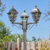 Naofe Lampione multibraccia, Illuminazione viale Marrone, Oro, 3-Luci