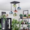Gastor Plafoniera, Lampada a sfera Blu, Verde, Chiaro, Ramato, 5-Luci
