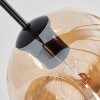 Ripoll Lampadario a sospensione, Lampada a sfera, Lampada a sospensione Ambrato, Chiaro, Grigio fumo, 8-Luci