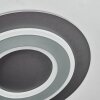 Lidor Plafoniera LED Nero, 1-Luce