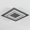 Lidor Plafoniera LED Nero, 1-Luce