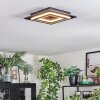 Lidor Plafoniera LED Nero, 1-Luce