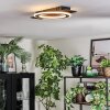 Lidor Plafoniera LED Nero, 1-Luce