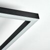 Manor Plafoniera LED Nero, 1-Luce, Telecomando