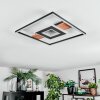 Hadel Plafoniera LED Aspetto del legno, Nero, 1-Luce