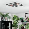 Hadel Plafoniera LED Aspetto del legno, Nero, 1-Luce
