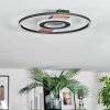 Hadel Plafoniera LED Aspetto del legno, Nero, 1-Luce