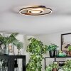 Hadel Plafoniera LED Aspetto del legno, Nero, 1-Luce