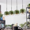 Lauden Lampadario a sospensione, Lampada a sospensione Verde, Chiaro, 4-Luci