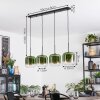 Lauden Lampadario a sospensione, Lampada a sospensione Verde, Chiaro, 4-Luci