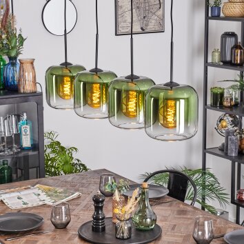 Lauden Lampadario a sospensione, Lampada a sospensione Verde, Chiaro, 4-Luci