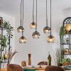 Ripoll Lampadario a sospensione, Lampada a sfera, Lampada a sospensione Ambrato, Chiaro, Grigio fumo, 6-Luci