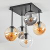 Gastor Plafoniera, Lampada a sfera Ambrato, Chiaro, Grigio fumo, 5-Luci