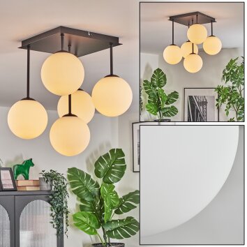 Gastor Plafoniera, Lampada a sfera Bianco, 5-Luci