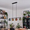 Ripoll Lampadario a sospensione, Lampada a sfera, Lampada a sospensione Blu, Oro, Verde, Ramato, 4-Luci