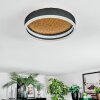 Guine Plafoniera LED Oro, Nero, 1-Luce