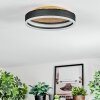 Guine Plafoniera LED Oro, Nero, 1-Luce