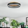 Guine Plafoniera LED Oro, Nero, 1-Luce