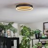 Guine Plafoniera LED Oro, Nero, 1-Luce