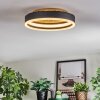 Guine Plafoniera LED Oro, Nero, 1-Luce