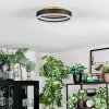 Guine Plafoniera LED Oro, Nero, 1-Luce