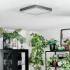 Salmi Plafoniera, Panel LED Grigio, Argento, 1-Luce