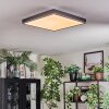 Salmi Plafoniera, Panel LED Grigio, Argento, 1-Luce