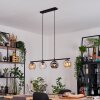 Ripoll Lampadario a sospensione, Lampada a sfera, Lampada a sospensione Ambrato, Chiaro, Grigio fumo, 4-Luci