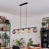 Gastor Lampadario a sospensione, Lampada a sfera, Lampada a sospensione Ambrato, Chiaro, Grigio fumo, 5-Luci