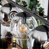 Ripoll Lampadario a sospensione, Lampada a sfera, Lampada a sospensione Ambrato, Chiaro, Grigio fumo, 5-Luci