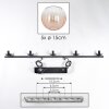 Koyoto Lampadario a sospensione, Lampada a sfera, Lampada a sospensione Ambrato, Chiaro, 5-Luci