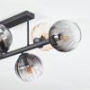 Koyoto Plafoniera, Lampada a sfera Ambrato, Chiaro, Grigio fumo, 6-Luci