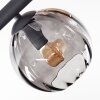 Koyoto Plafoniera, Lampada a sfera Ambrato, Chiaro, Grigio fumo, 10-Luci