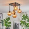 Gastor Plafoniera, Lampada a sfera Ambrato, 5-Luci