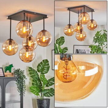 Gastor Plafoniera, Lampada a sfera Ambrato, 5-Luci