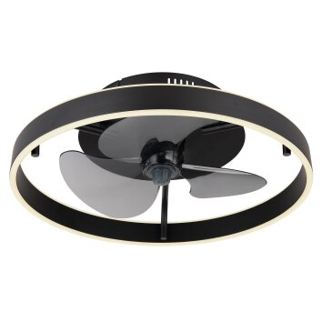 Illuminazione Globo Lighting Conway Lampada con ventilatore LED Nero, 1-Luce, Telecomando
