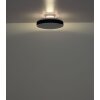 Illuminazione Globo Lighting Carney Lampada con ventilatore LED Bianco, 1-Luce, Telecomando