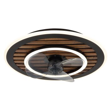 Illuminazione Globo Lighting Trevino Lampada con ventilatore LED Écru, Nero, 1-Luce, Telecomando
