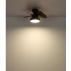 Illuminazione Globo Lighting Kari Lampada con ventilatore LED Marrone, Nero, 1-Luce, Telecomando