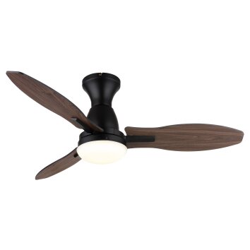 Illuminazione Globo Lighting Gale Lampada con ventilatore LED Aspetto del legno, Écru, Nero, 1-Luce, Telecomando