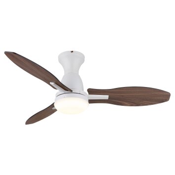 Illuminazione Globo Lighting Gale Lampada con ventilatore LED Aspetto del legno, Écru, Bianco, 1-Luce, Telecomando