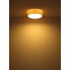 Illuminazione Globo Lighting Page Plafoniera Bianco, 3-Luci