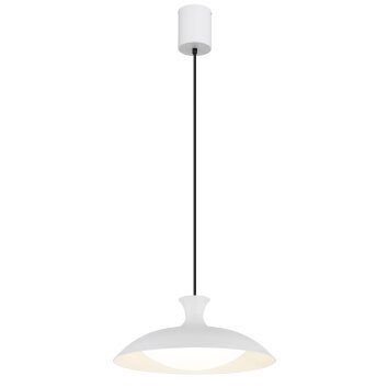 Illuminazione Globo Lighting Rocha Lampadario a sospensione LED Bianco, 1-Luce Illuminazione Globo Lighting Rocha Lampadario a sospensione LED Bianco, 1-Luce