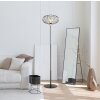 Illuminazione Globo Lighting Greys Lampada da terra Nero, 1-Luce