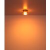Illuminazione Globo Lighting Higgins Plafoniera Oro, 1-Luce