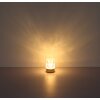 Illuminazione Globo Lighting Lizzy Lampada da tavolo LED Oro, 1-Luce